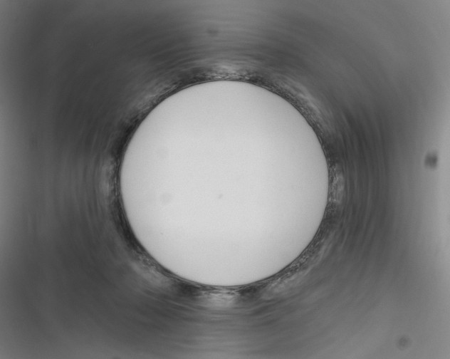 X0000116280318201001111041
