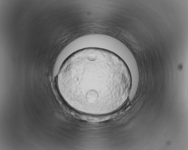 X0000116280320201001111041