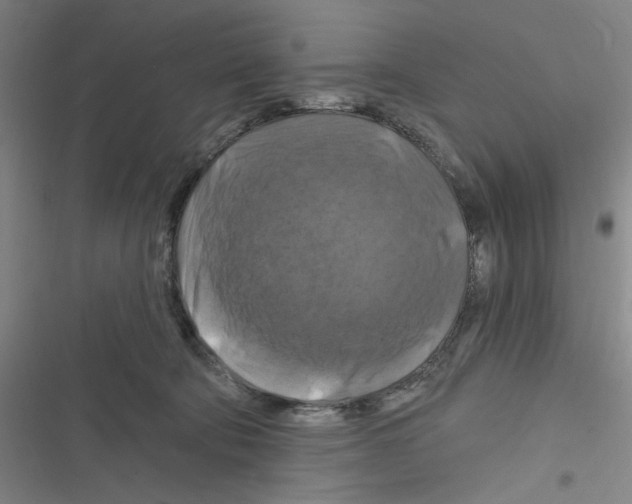 X0000116280322201001111041