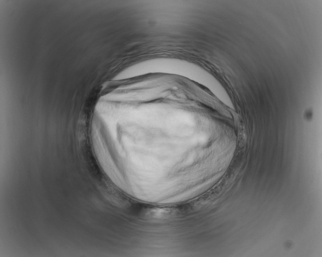 X0000116280323201001111041