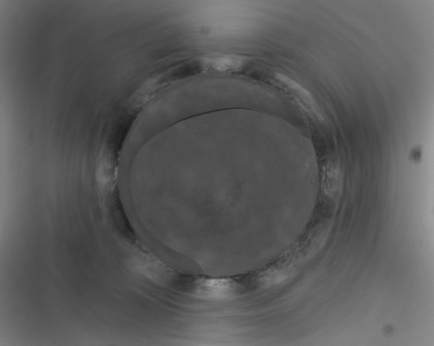 X0000116280324201001111040
