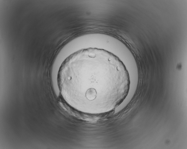 X0000116280325201001111040