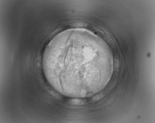 X0000116280326201001111040