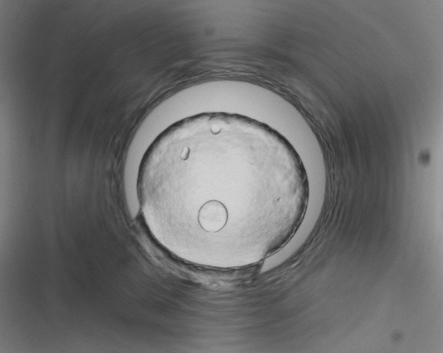 X0000116280327201001111040