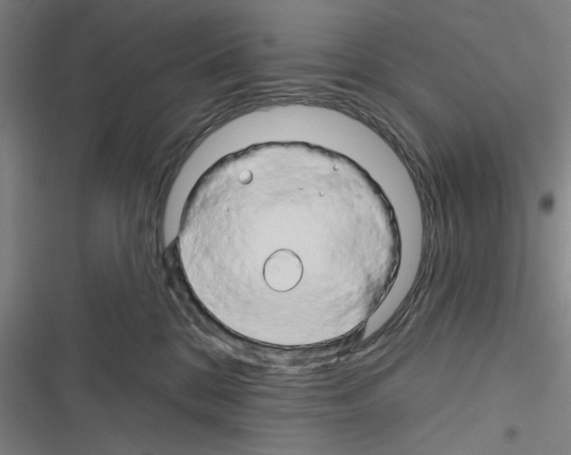 X0000116280328201001111040