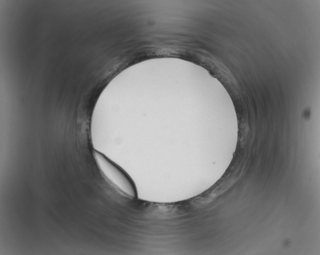 X0000116280329201001111040