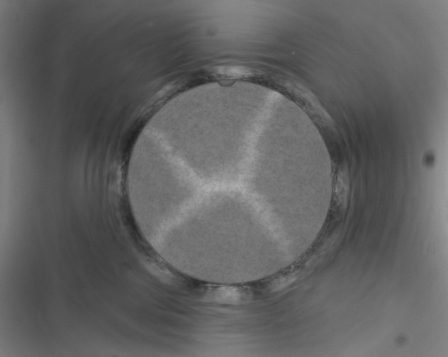 X0000116280330201001111040