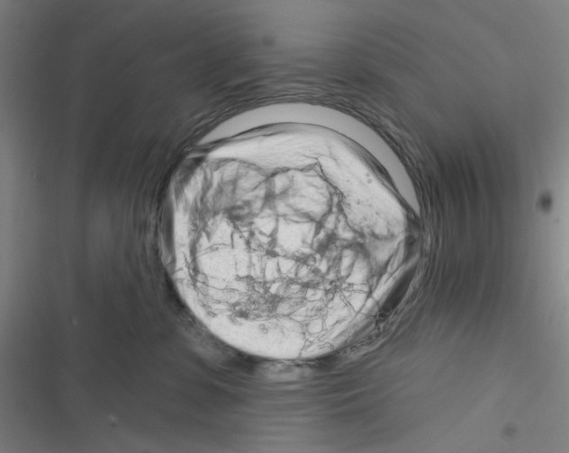 X0000116280331201001111040
