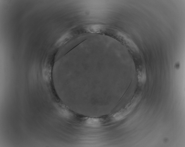 X0000116280332201001111040