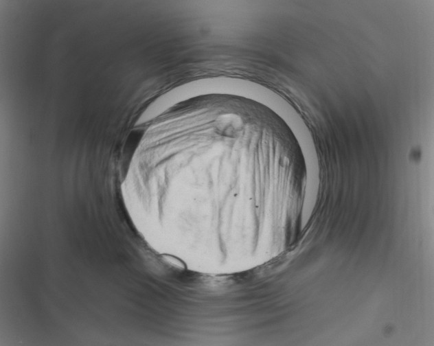 X0000116280333201001111040