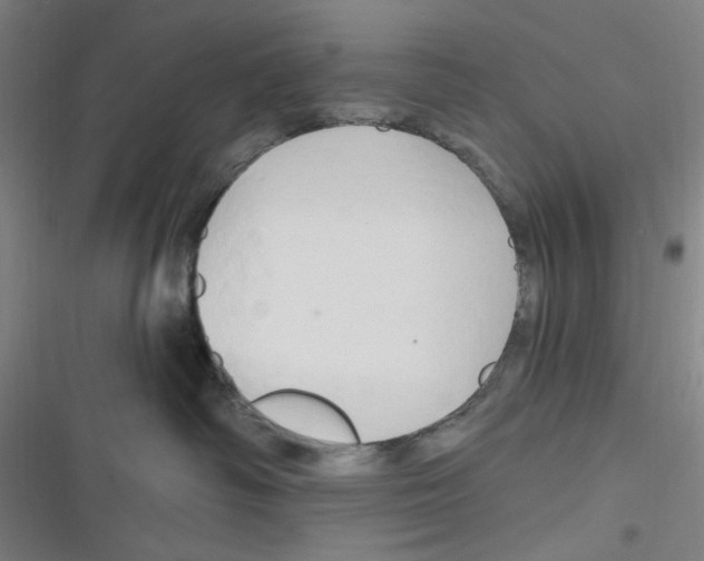 X0000116280334201001111040