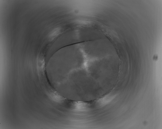 X0000116280336201001111040