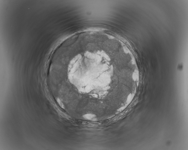X0000116280337201001111040