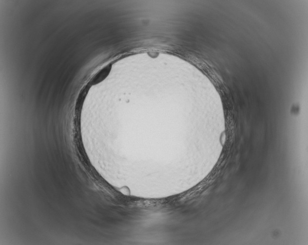 X0000116280338201001111040