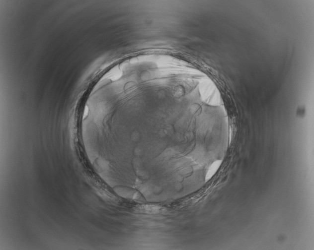 X0000116280339201001111040