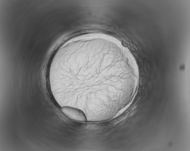 X0000116280341201001111040