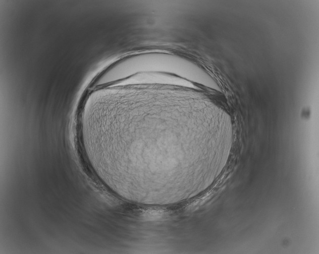 X0000116280342201001111040