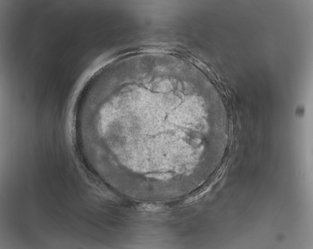 X0000116280343201001111040