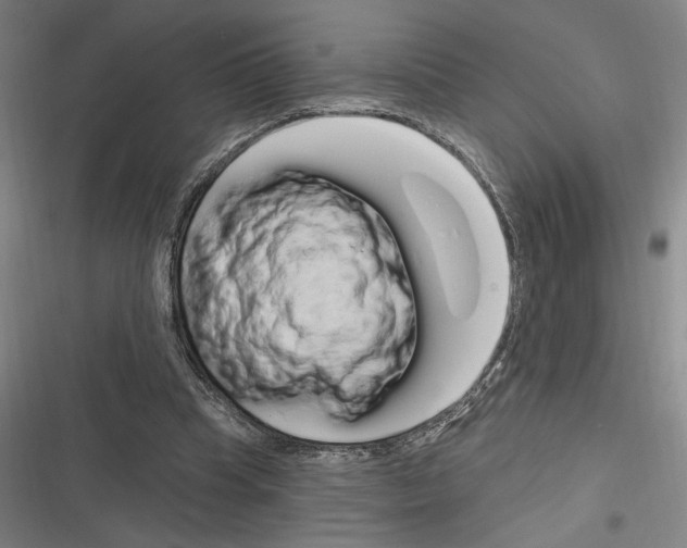 X0000116280345201001111040