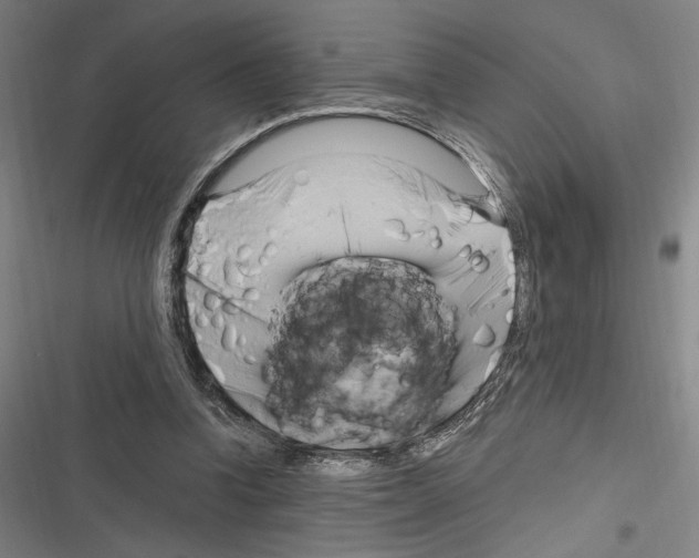 X0000116280346201001111040