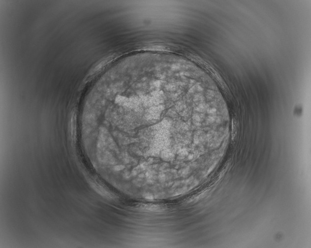 X0000116280349201001111040