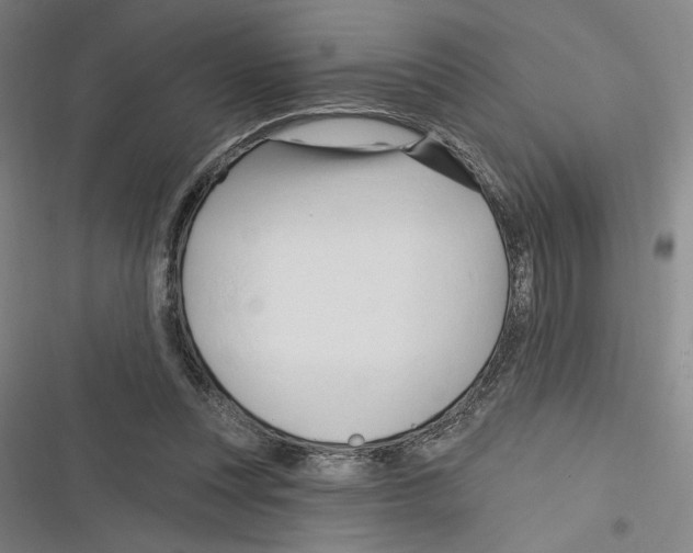 X0000116280351201001111040