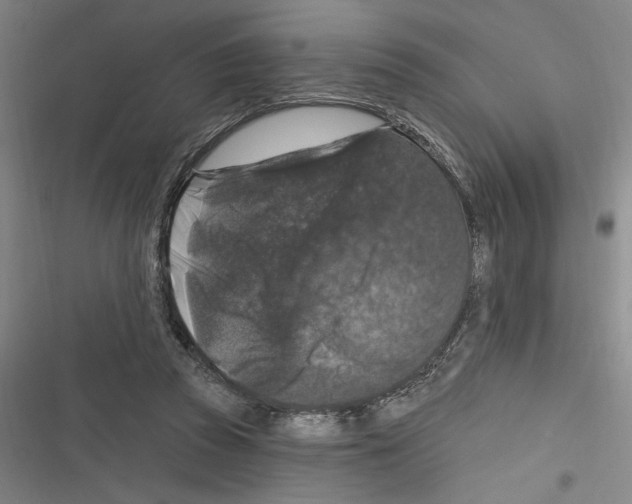 X0000116280353201001111040