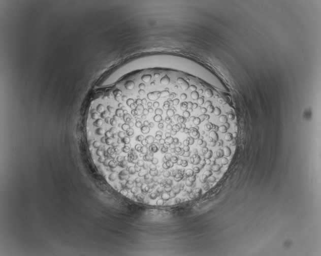 X0000116280354201001111040
