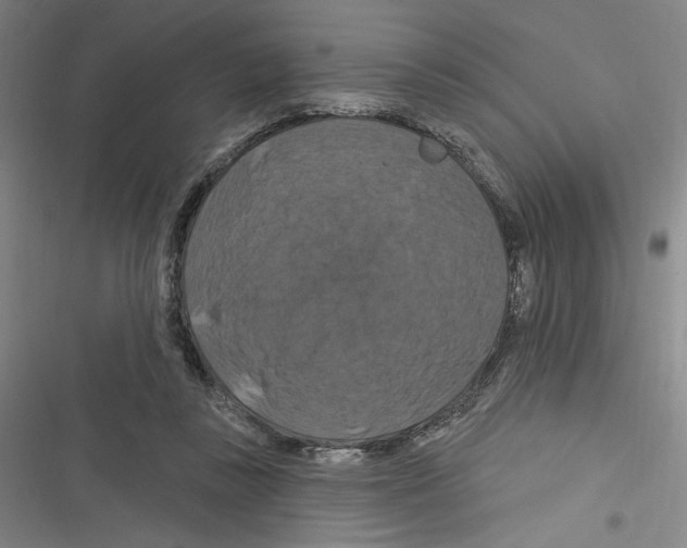 X0000116280355201001111040