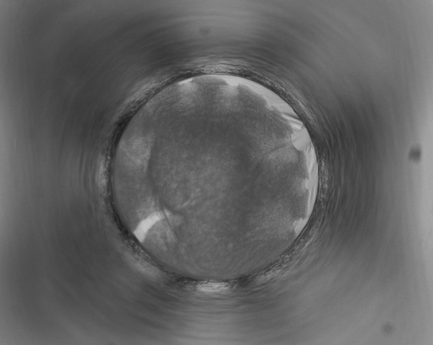 X0000116280357201001111040
