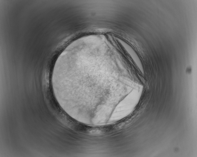 X0000116280358201001111040