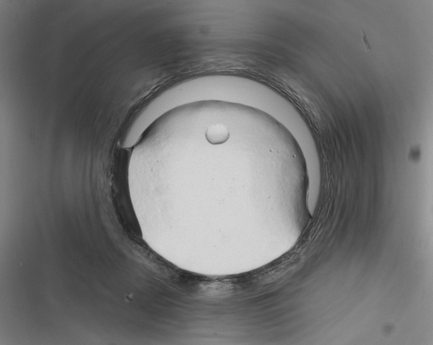 X0000116280362201001111040