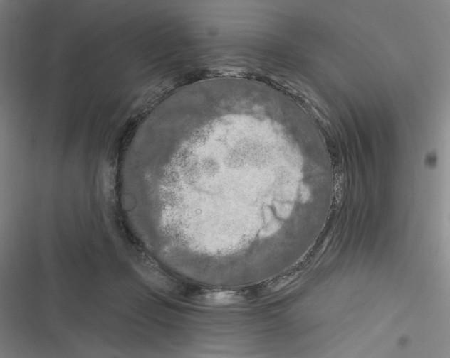 X0000116280365201001111040