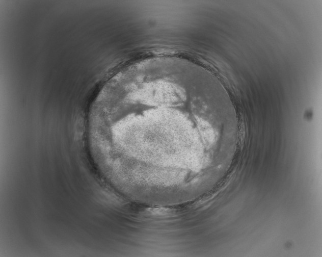 X0000116280367201001111040