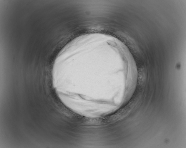 X0000116280369201001111040
