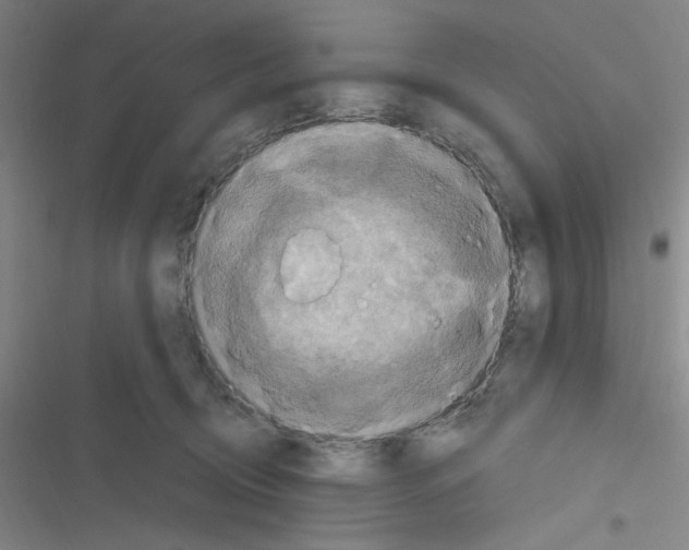 X0000116280370201001111040