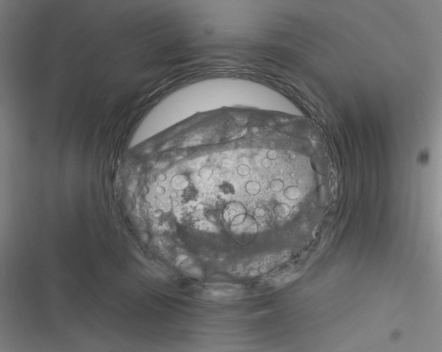 X0000116280371201001111040