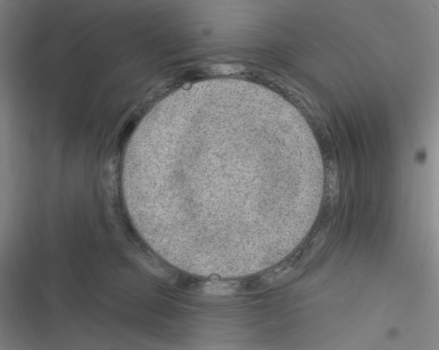 X0000116280373201001111040
