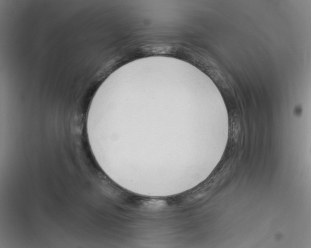 X0000116280374201001111040