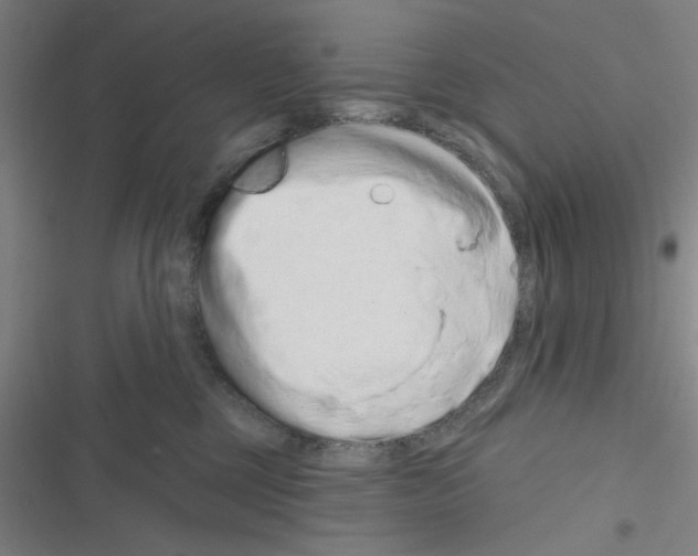 X0000116280377201001111040