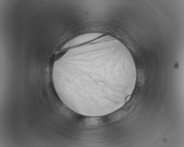 X0000116280378201001111040