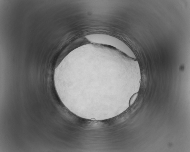 X0000116280379201001111040
