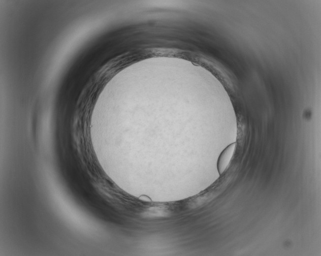 X0000116280381201001111040