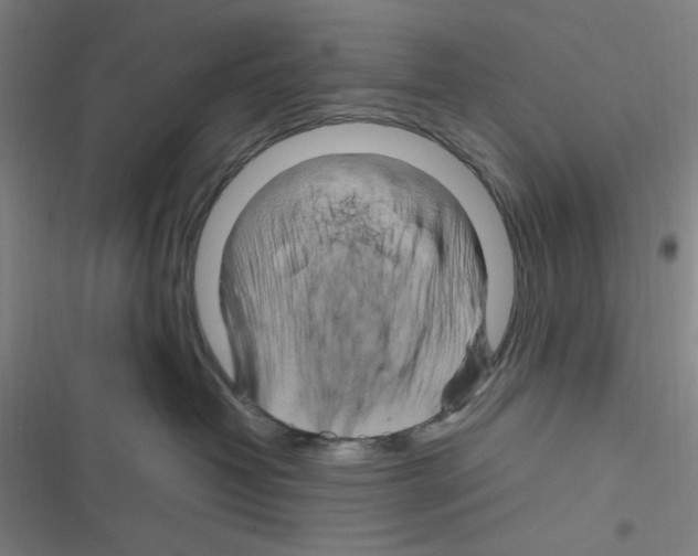 X0000116280382201001111040