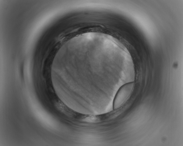 X0000116280383201001111040