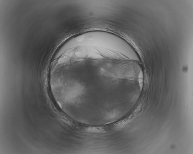 X0000116280386201001111040