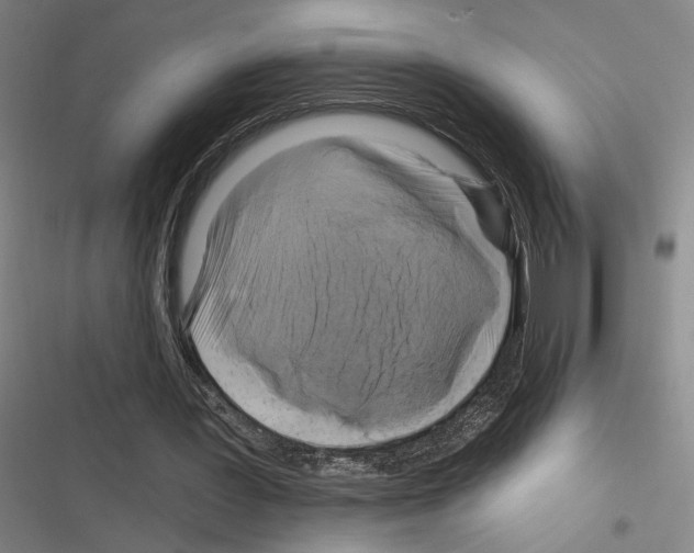 X0000116280387201001111040