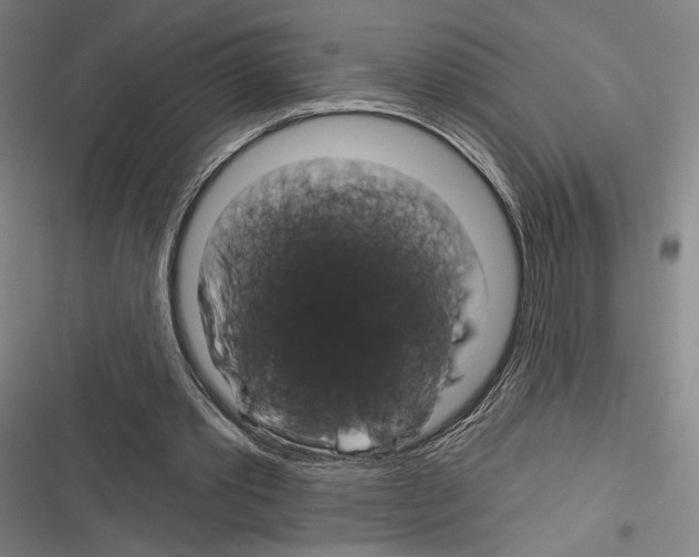 X0000116280389201001111040
