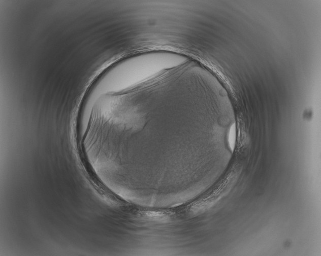 X0000116280390201001111040