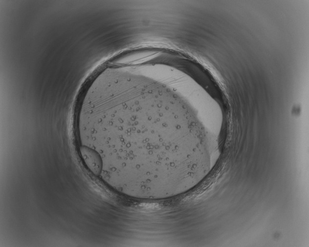 X0000116280391201001111040